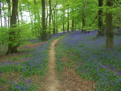 Second Eden: Theology of Redemption, Grace & the New Earth